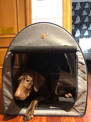 Caseta Plegable Perro Easy Go Gris