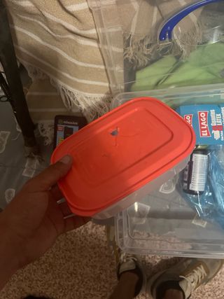 Kit iniciacion en el cultivo