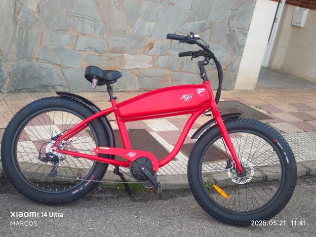 Bicicleta eléctrica Rodars 1000w.21amp.