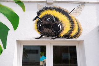 DECORADOR pintor muralista ARTISTA GRAFFITI ANIMAL