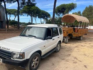 Remolque batea jardinera vendo