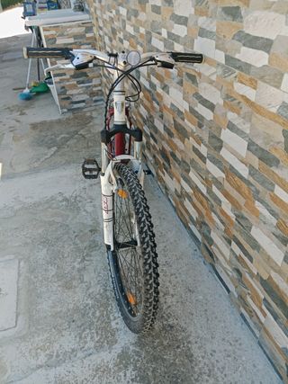 Bicicleta montaña Alphe