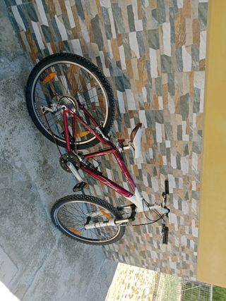 Bicicleta montaña Alphe
