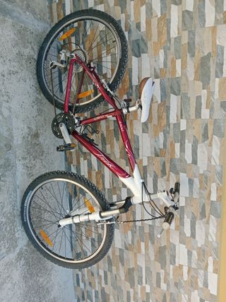 Bicicleta montaña Alphe