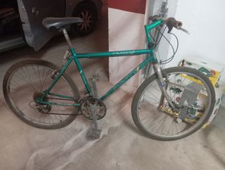 Bicicleta de paseo 

