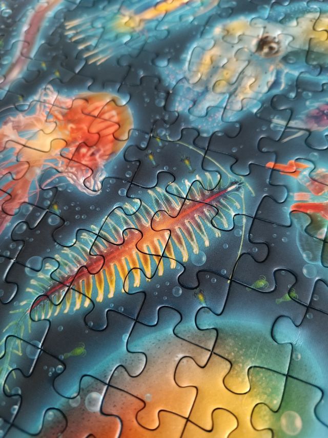 Puzzle Ravensburger 500 piezas - criaturas marinas