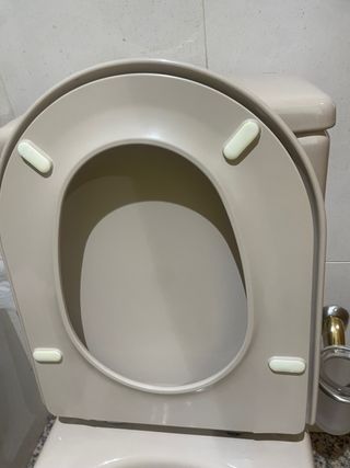 Tapa inodoro Meridian Vison