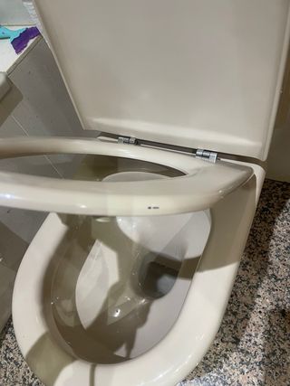 Tapa inodoro Meridian Vison