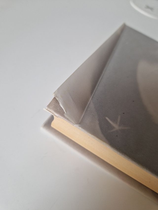 Le battaglie non si perdono, si vincono sempre