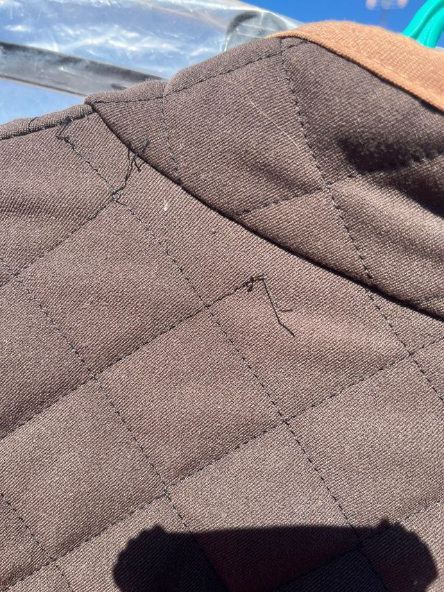 Chaqueta acolchada marrón - Talla Mujer