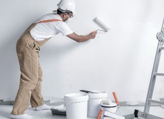 Pintor Donostia - Profesional