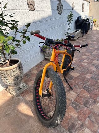 Bicicleta