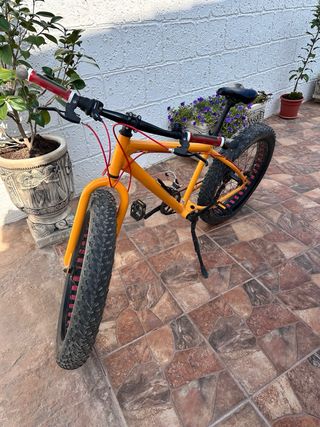 Bicicleta