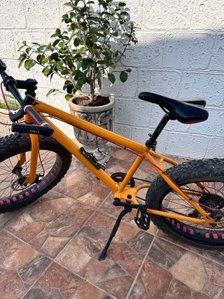 Bicicleta