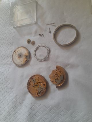 Orologio Wiler Vetta 236 Automatico