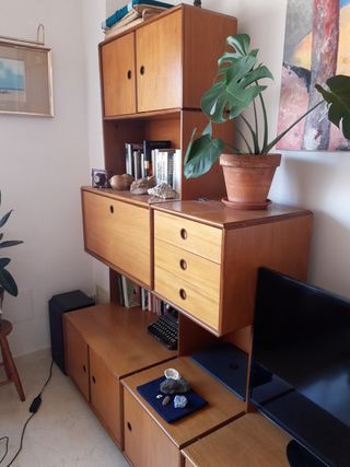 Muebles salón teka - vintage