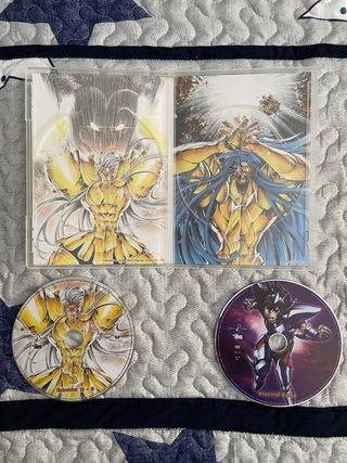 Saint Seiya: The Lost Canvas - Temporadas 1 y 2