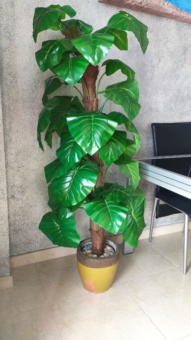 Planta artificial de 190 centímetros de altura