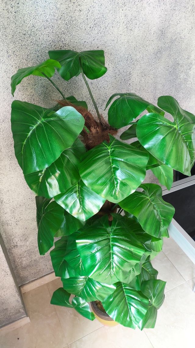 Planta artificial de 190 centímetros de altura