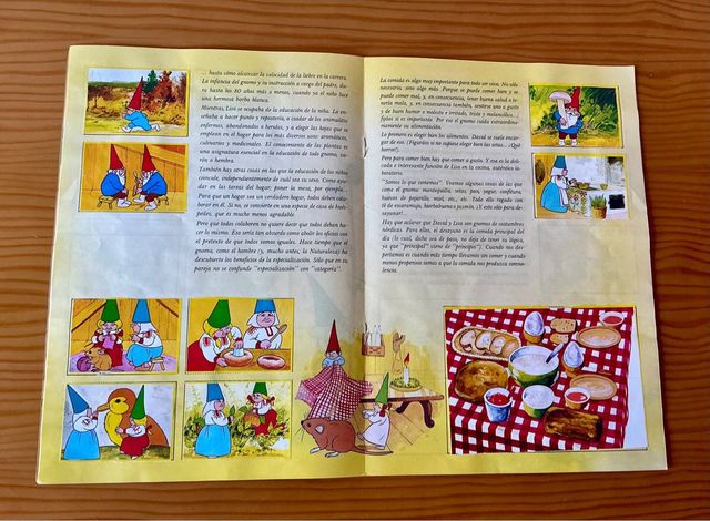 Álbum Libro Lisa - David el Gnomo Completo