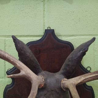 TALLA DE MADERA REPRESENTANDO A UN CIERVO