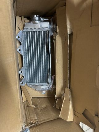 Yamaha Jog circuito motor