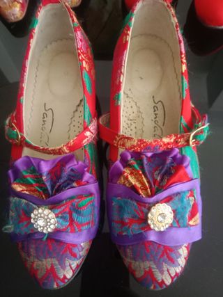 Zapatos fiesta Sanca rojos y morados