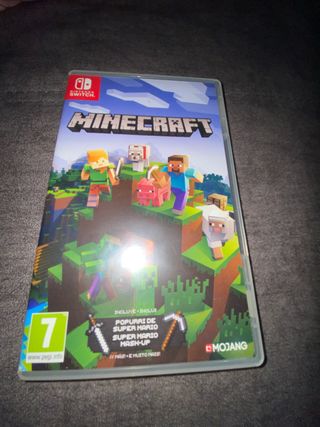 Minecraft Nintendo Switch
