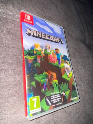 Minecraft Nintendo Switch