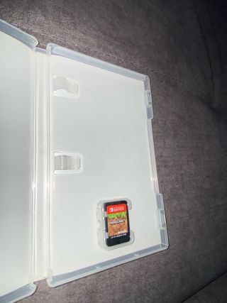 Minecraft Nintendo Switch