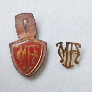 Insignia Policía Miñones Álava: pepito e insignia.