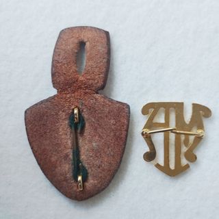 Insignia Policía Miñones Álava: pepito e insignia.