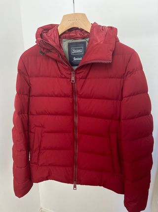 Plumifero rojo Herno