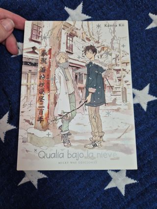 QUALIA BAJO LA NIEVE