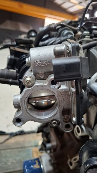 Motor Ford Focus 500€