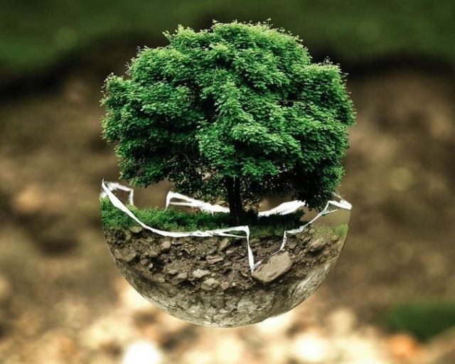 Tratamiento energético