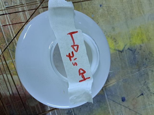 Tulipa antigua de cristal (1 ud.)