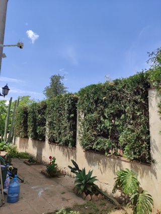 Jardín con piscina