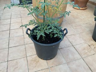 Macetas grandes de plástico de 45 litros