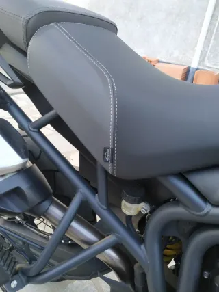 triumph tiger xc 800.