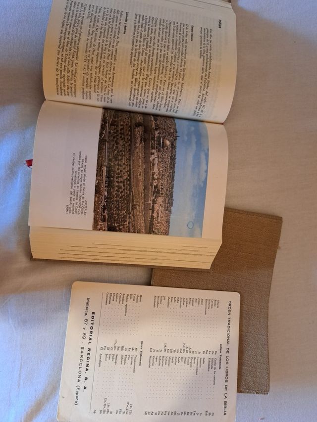 Biblia Antigua - Edicion Regina