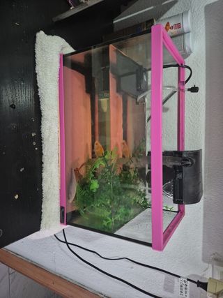 Acuario rosa 15l.