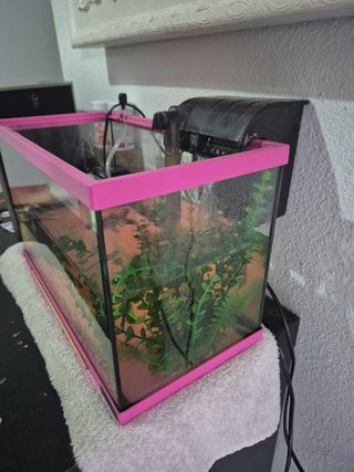 Acuario rosa 15l.