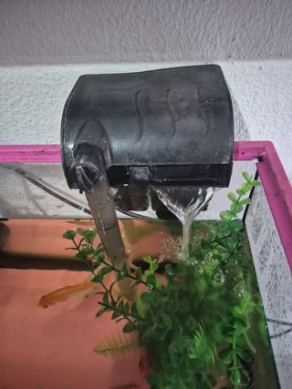 Acuario rosa 15l.