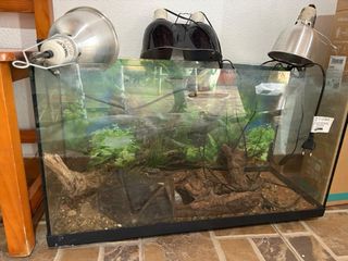Terrario para Reptiles - Cristal