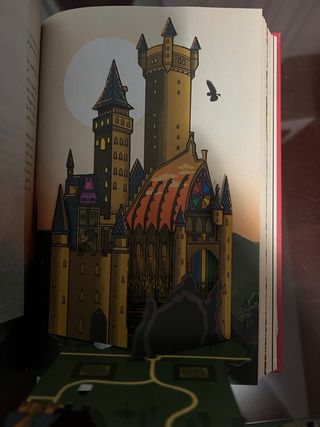 Libro Harry Potter y la Piedra Filosofal Francés