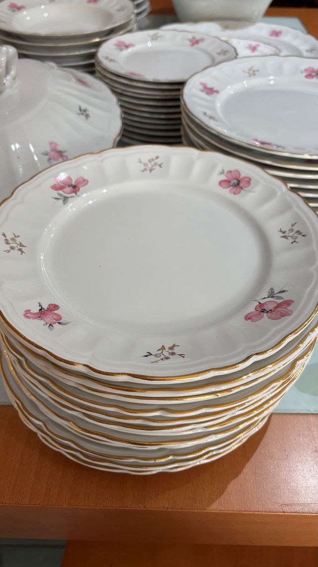 Vajilla porcelana Vargas Segovia (55 piezas)