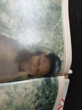 Lote 4 revistas interviu 1982/1983