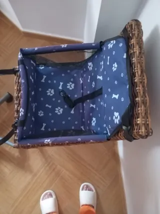 Coche perro - Azul y blanco