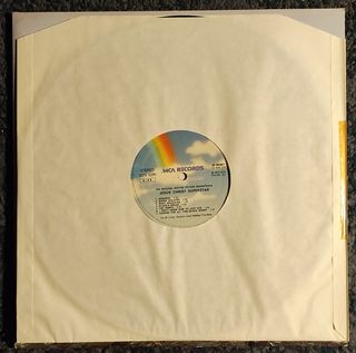 Jesus Christ Superstar -soundtrack- vinile doppio